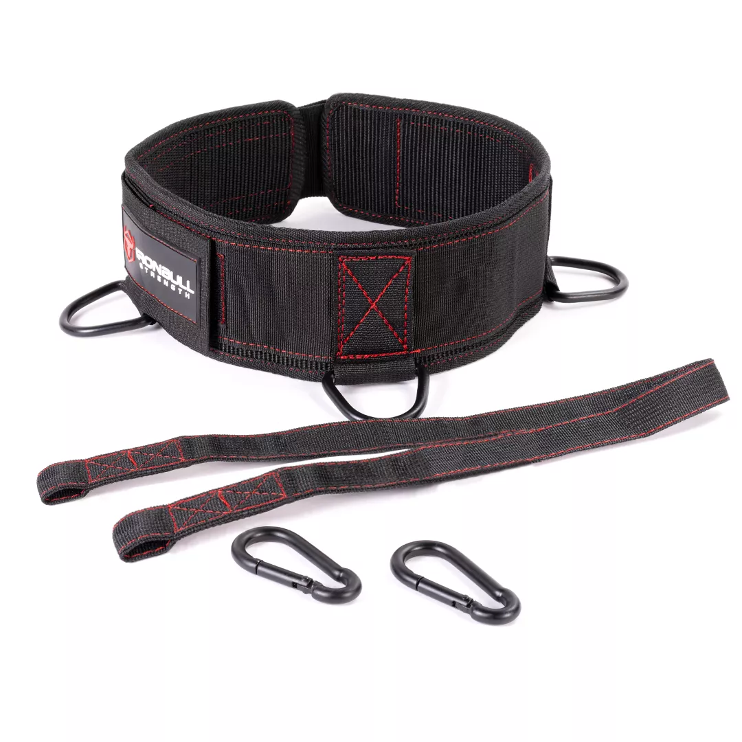 Advanced Dip Belt F9
