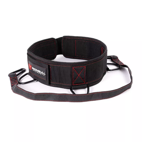 Advanced Dip Belt F9